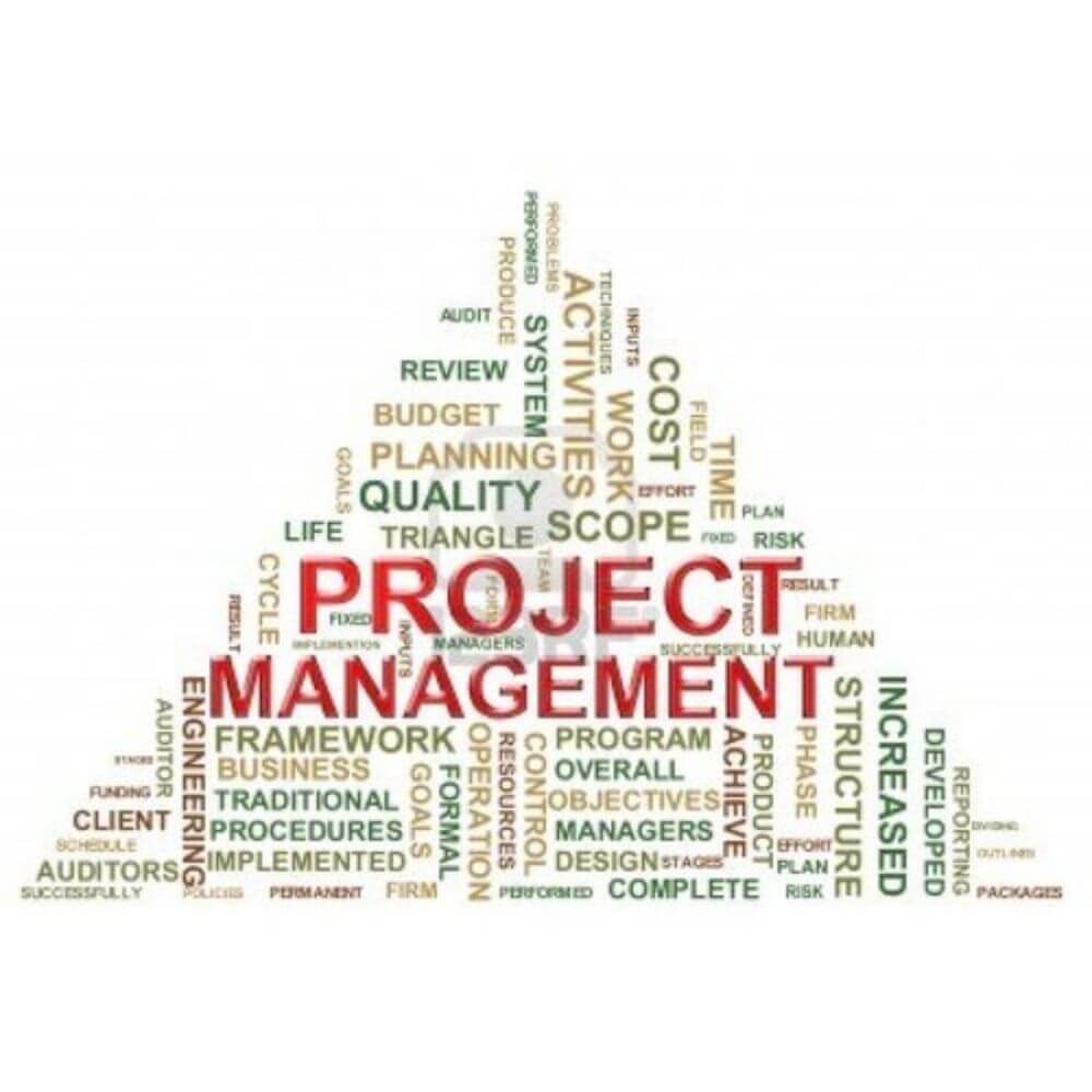 Project Management Consultancy